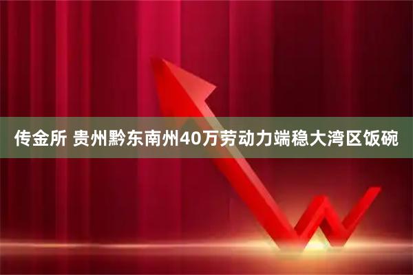 传金所 贵州黔东南州40万劳动力端稳大湾区饭碗