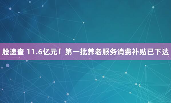 股速查 11.6亿元！第一批养老服务消费补贴已下达