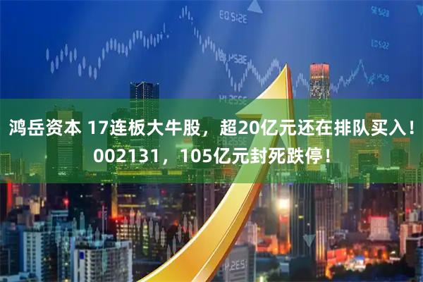 鸿岳资本 17连板大牛股，超20亿元还在排队买入！002131，105亿元封死跌停！